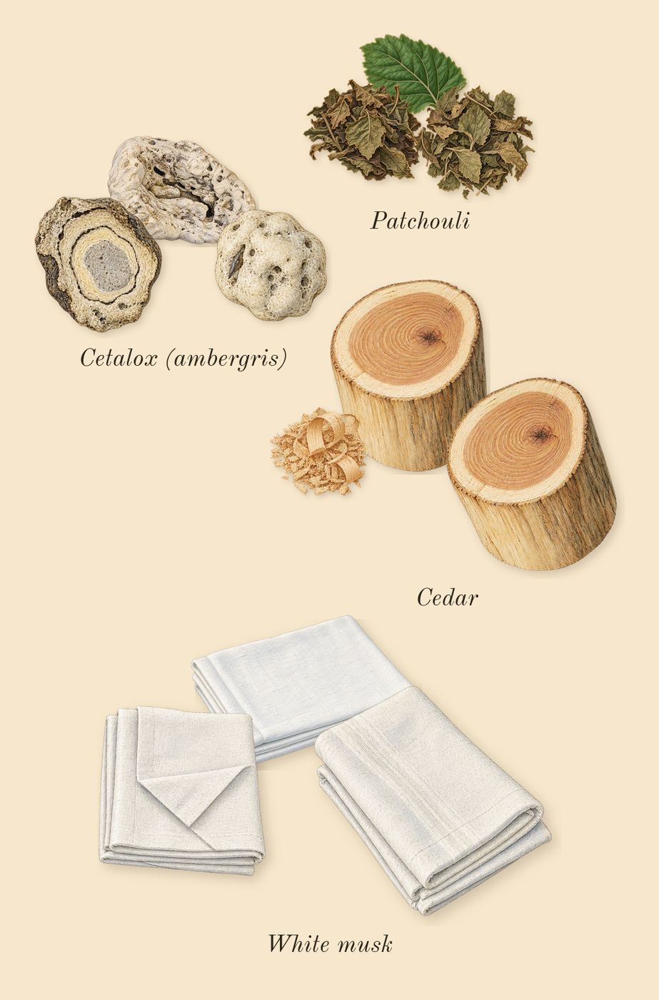 Mon Paris, dry-down: Patchouli, White musk, Cetalox (ambergris), Cedar
