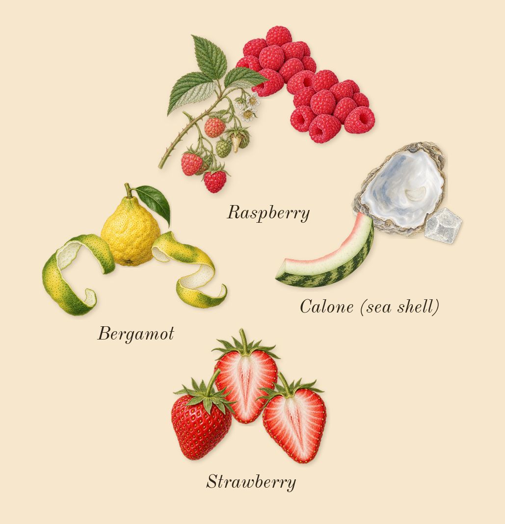 Mon Paris, top notes: Strawberry, Raspberry, Bergamot, Calone (sea shell)