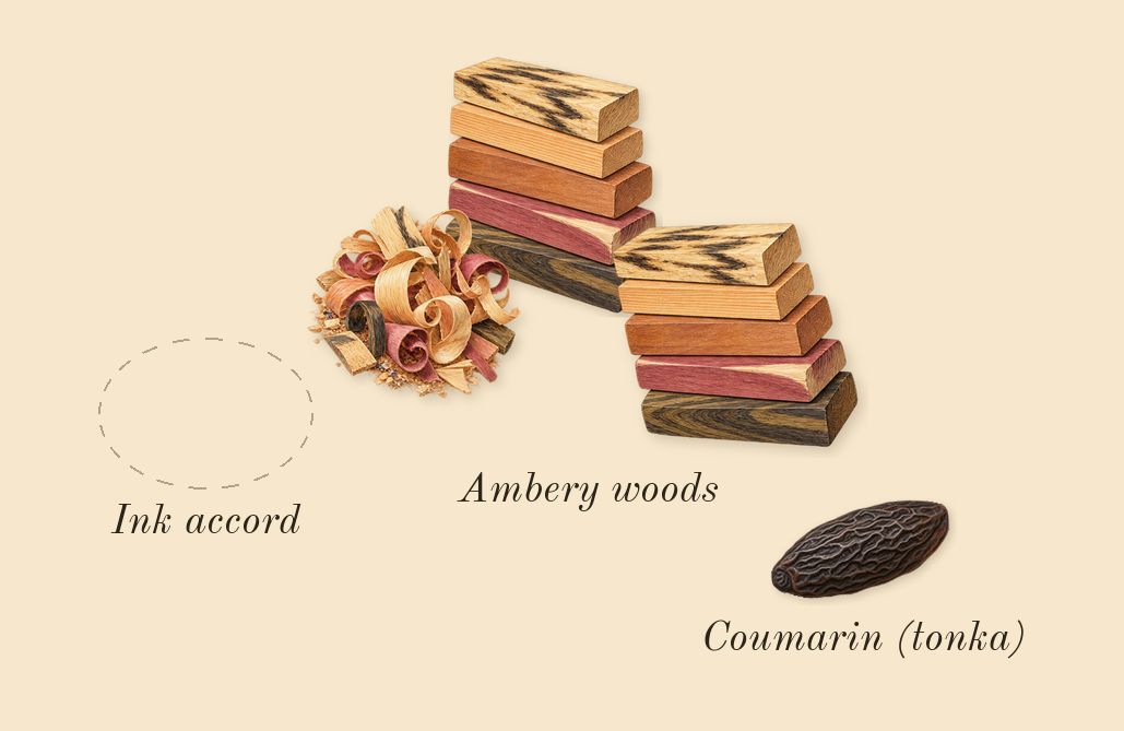 Muse, dry-down: Ink accord, Ambery woods, Coumarin (tonka)