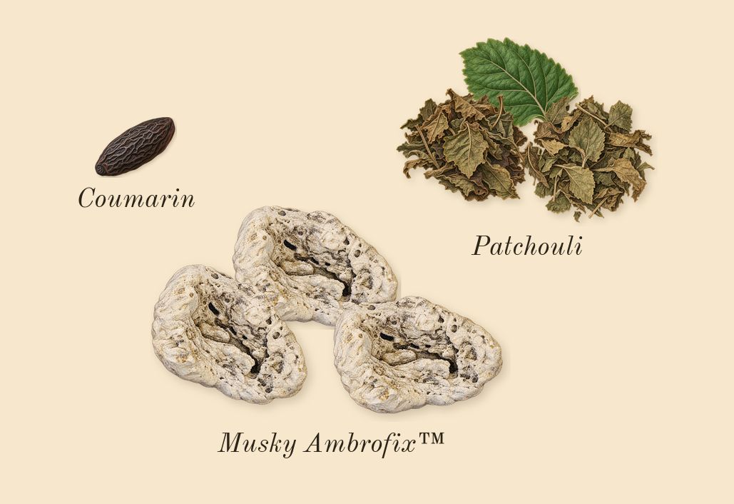 MYSLF, dry-down: Patchouli, Musky Ambrofix™, Coumarin