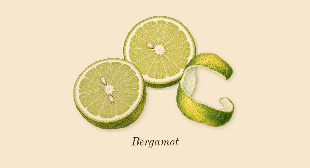 MYSLF, top notes: Bergamot