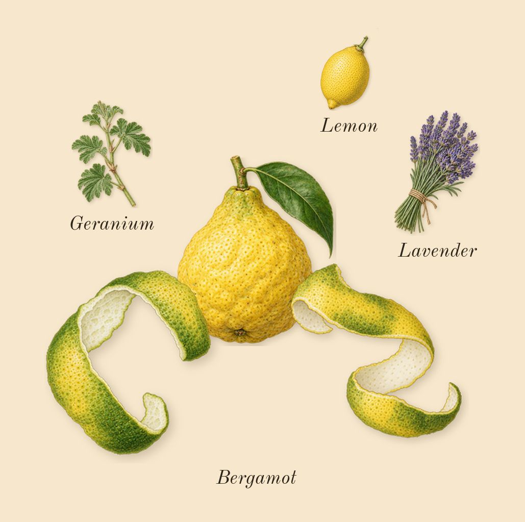 MYSLF Intense, top notes: Bergamot, Lemon, Lavender, Geranium