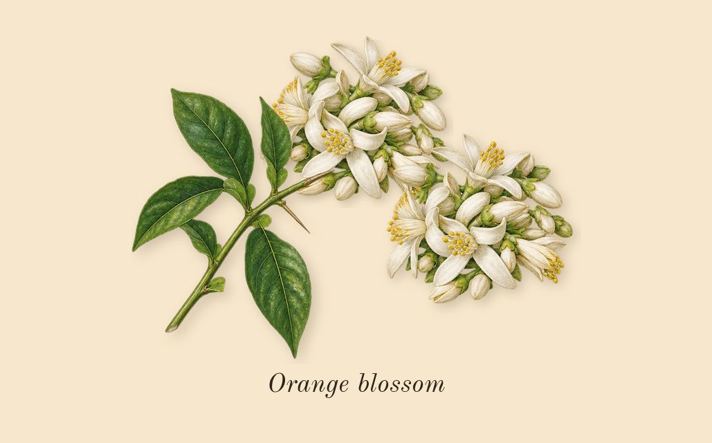 MYSLF L'Absolu, heart: Orange blossom