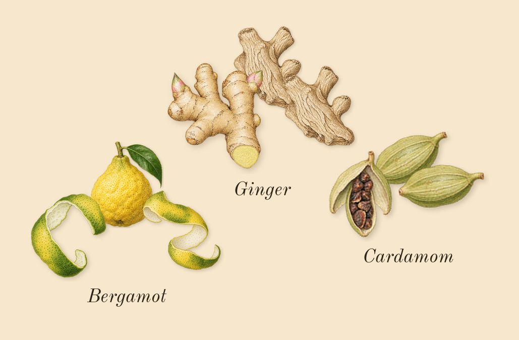 MYSLF L'Absolu, top notes: Bergamot, Ginger, Cardamom