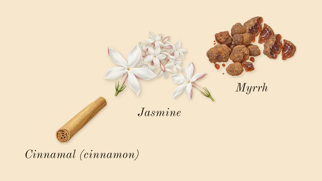 Opium, heart: Myrrh, Jasmine, Cinnamal (cinnamon)