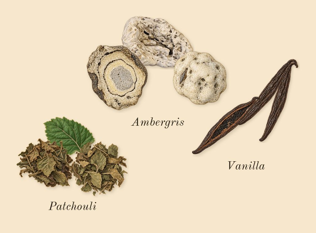 Tuxedo, dry-down: Ambergris, Patchouli, Vanilla