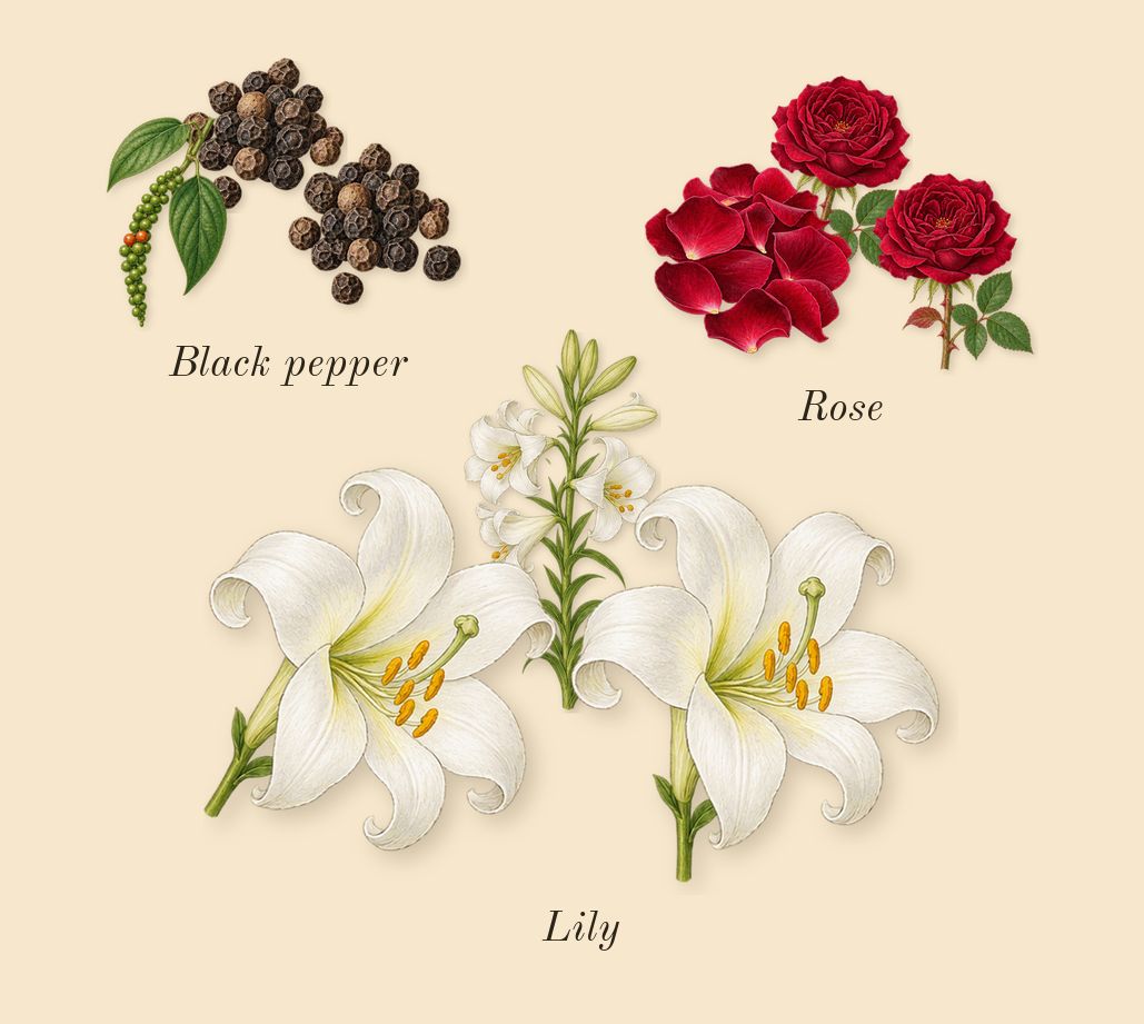 Tuxedo, heart: Rose, Lily, Black pepper