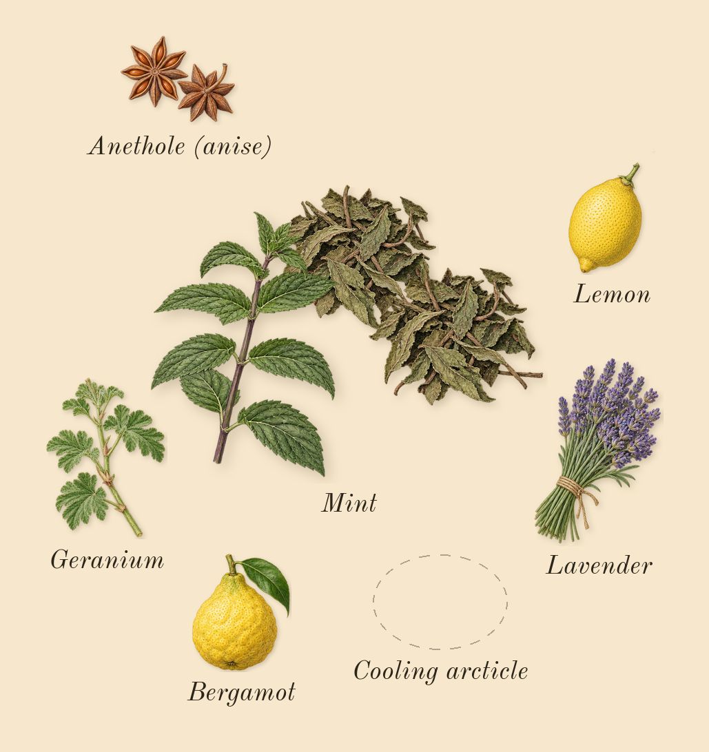 Y Iced Cologne, top notes: Mint, Cooling arcticle, Bergamot, Lemon, Geranium, Lavender, Anethole (anise)