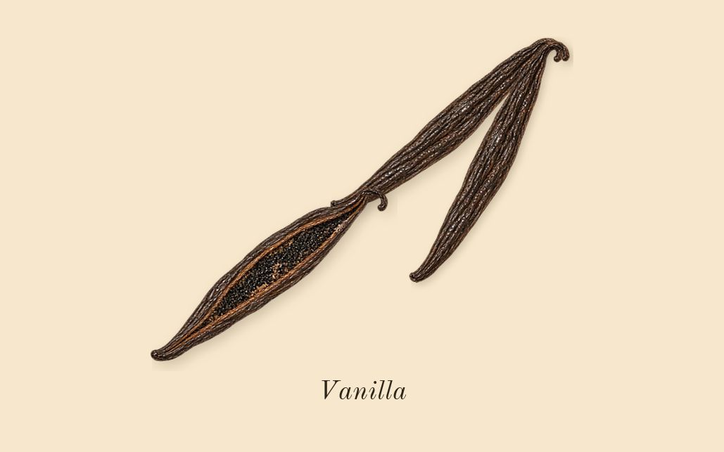 Golden Decade, dry-down: Vanilla