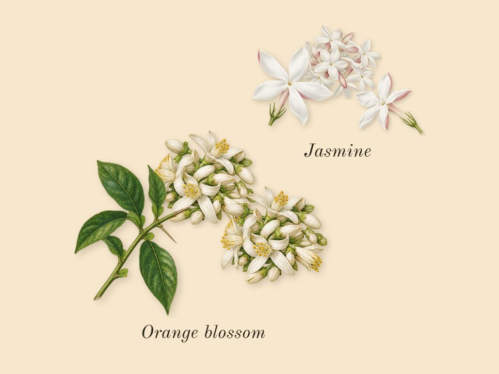 Golden Decade, heart: Orange blossom, Jasmine