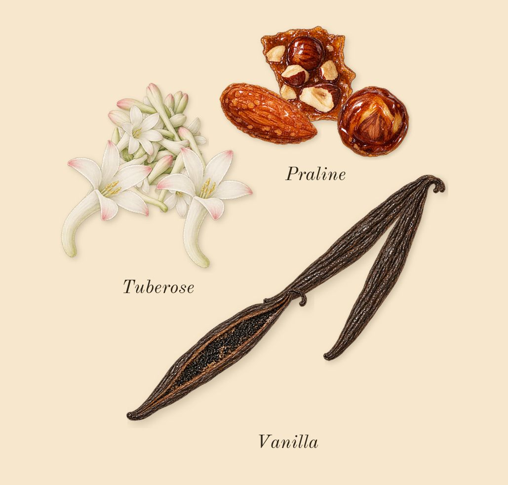Sharaf Blend, heart: Vanilla, Praline, Tuberose