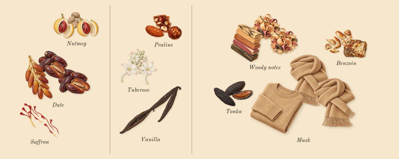 Sharaf Blend’s scent picture, a draft: nutmeg, saffron, date, vanilla, praline, tuberose drawn so far; dashed outlines where nothing is drawn yet