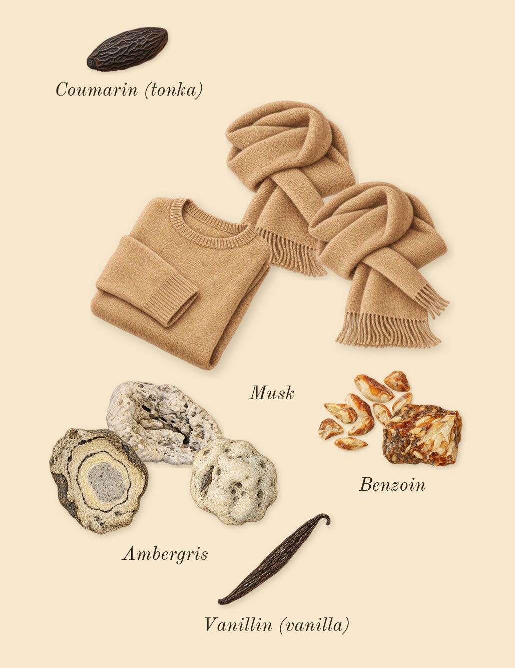 Squid, dry-down: Ambergris, Benzoin, Musk, Vanillin (vanilla), Coumarin (tonka)