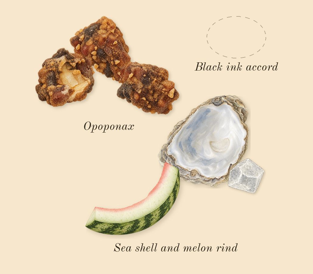 Squid, heart: Black ink accord, Sea shell and melon rind, Opoponax