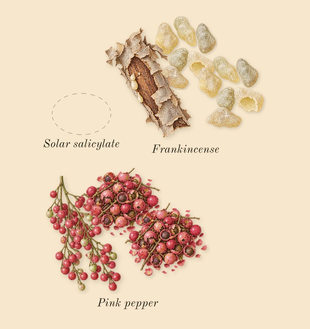 Squid, top notes: Pink pepper, Solar salicylate, Frankincense