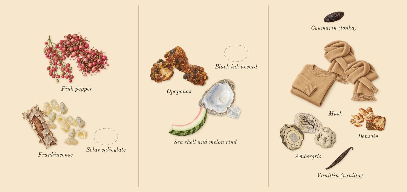 Squid’s scent picture, a draft: pink pepper, frankincense, sea shell and melon rind, opoponax, ambergris, benzoin drawn so far; dashed outlines where nothing is drawn yet